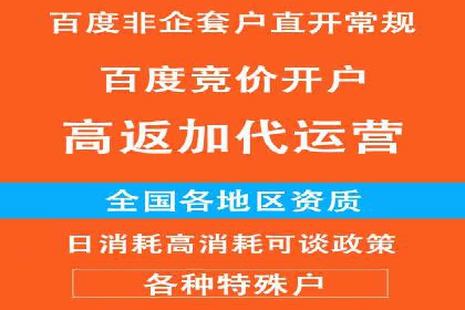 百度搜索推广实战：经典案例深度剖析